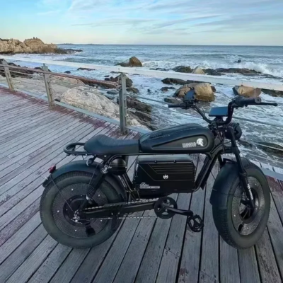 EBIK Black Warrior 3000W Motorcycle 60V 45AH ebike Adult Highway Electric Bike 20-inch Off-Road Fat Tires Suitable for Desert Mo - Image 3