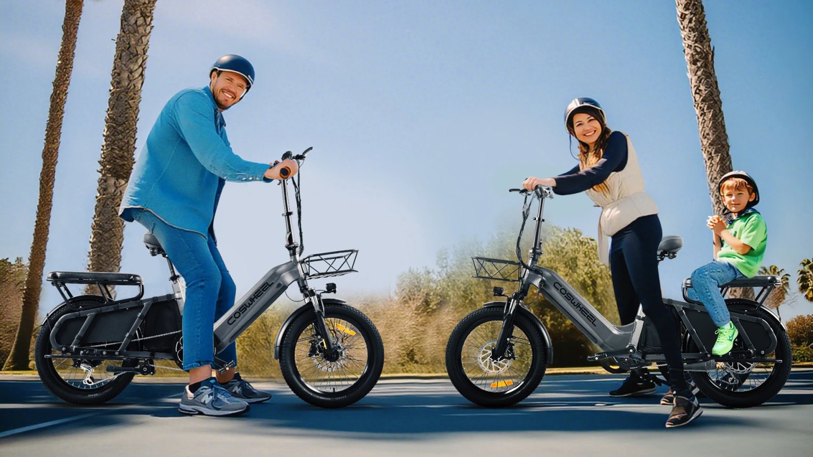 Electric Cargo Bike COSWHELL HQ20 20x4.0