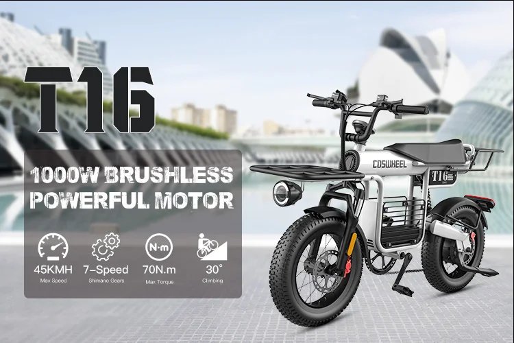 Fat Tire Electric Bike 20‘’1000W Motor All Terrain Ebike for Adult with Dual Suspension 48V 20AH for Snow Sand Mountain Off Road