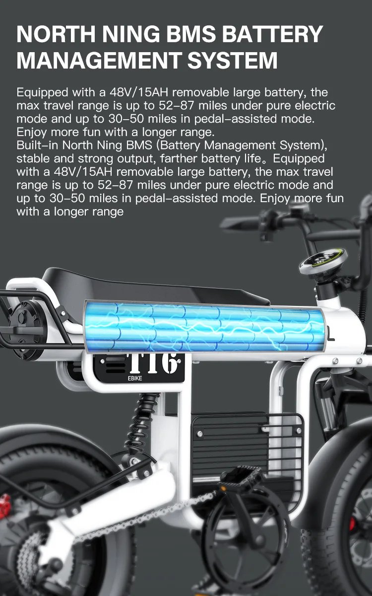 Fat Tire Electric Bike 20‘’1000W Motor All Terrain Ebike for Adult with Dual Suspension 48V 20AH for Snow Sand Mountain Off Road