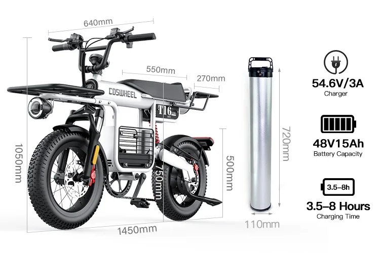 Fat Tire Electric Bike 20‘’1000W Motor All Terrain Ebike for Adult with Dual Suspension 48V 20AH for Snow Sand Mountain Off Road