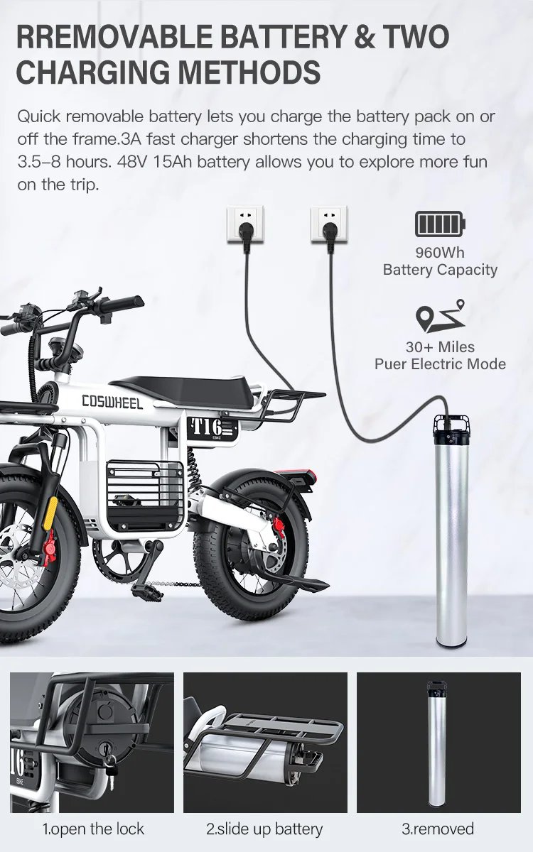 Fat Tire Electric Bike 20‘’1000W Motor All Terrain Ebike for Adult with Dual Suspension 48V 20AH for Snow Sand Mountain Off Road