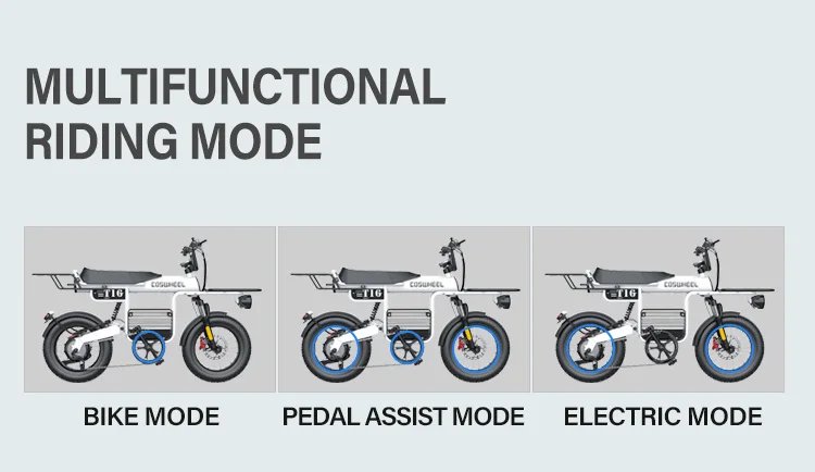 Fat Tire Electric Bike 20‘’1000W Motor All Terrain Ebike for Adult with Dual Suspension 48V 20AH for Snow Sand Mountain Off Road