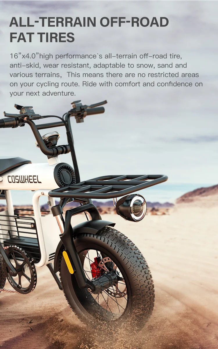 Fat Tire Electric Bike 20‘’1000W Motor All Terrain Ebike for Adult with Dual Suspension 48V 20AH for Snow Sand Mountain Off Road