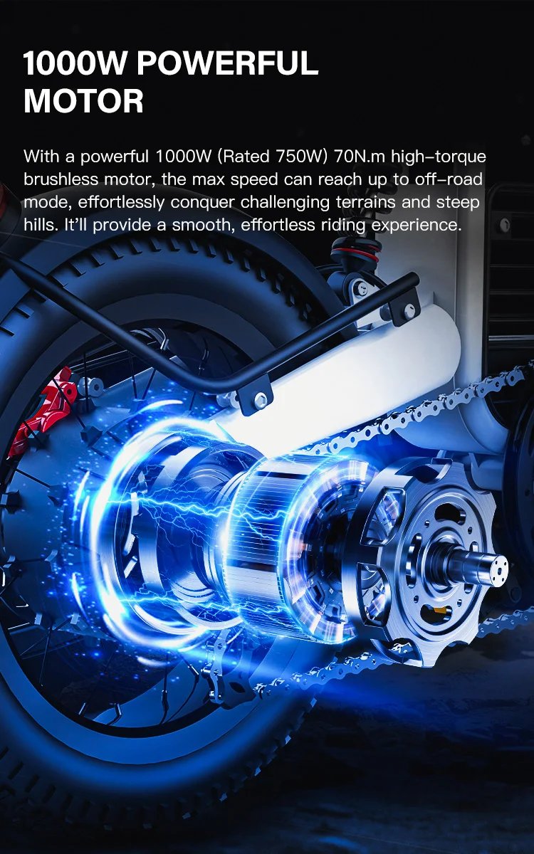 Fat Tire Electric Bike 20‘’1000W Motor All Terrain Ebike for Adult with Dual Suspension 48V 20AH for Snow Sand Mountain Off Road