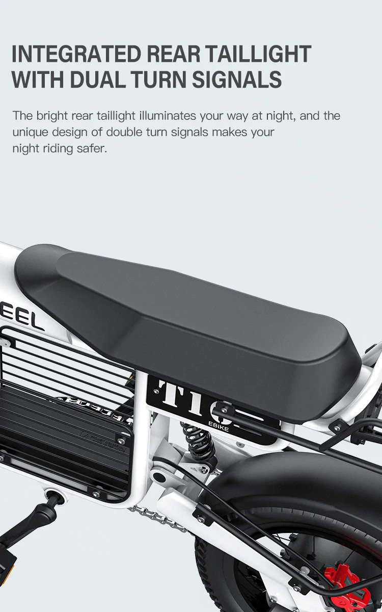 Fat Tire Electric Bike 20‘’1000W Motor All Terrain Ebike for Adult with Dual Suspension 48V 20AH for Snow Sand Mountain Off Road