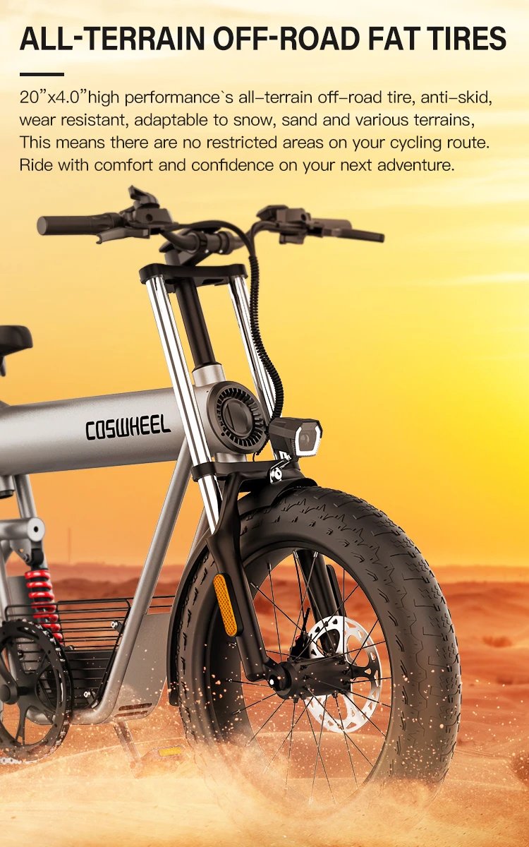 Electric Bike 1500W Brushless Motor 48V 20Ah Removable Battery All-Terrain Fat Tire E-Bike with Dual Suspension Hydrau Disc Brak