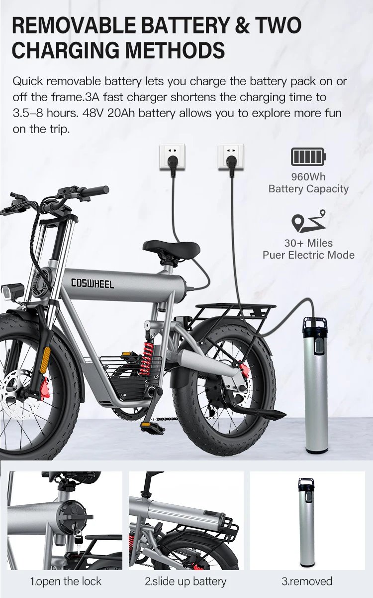 Electric Bike 1500W Brushless Motor 48V 20Ah Removable Battery All-Terrain Fat Tire E-Bike with Dual Suspension Hydrau Disc Brak