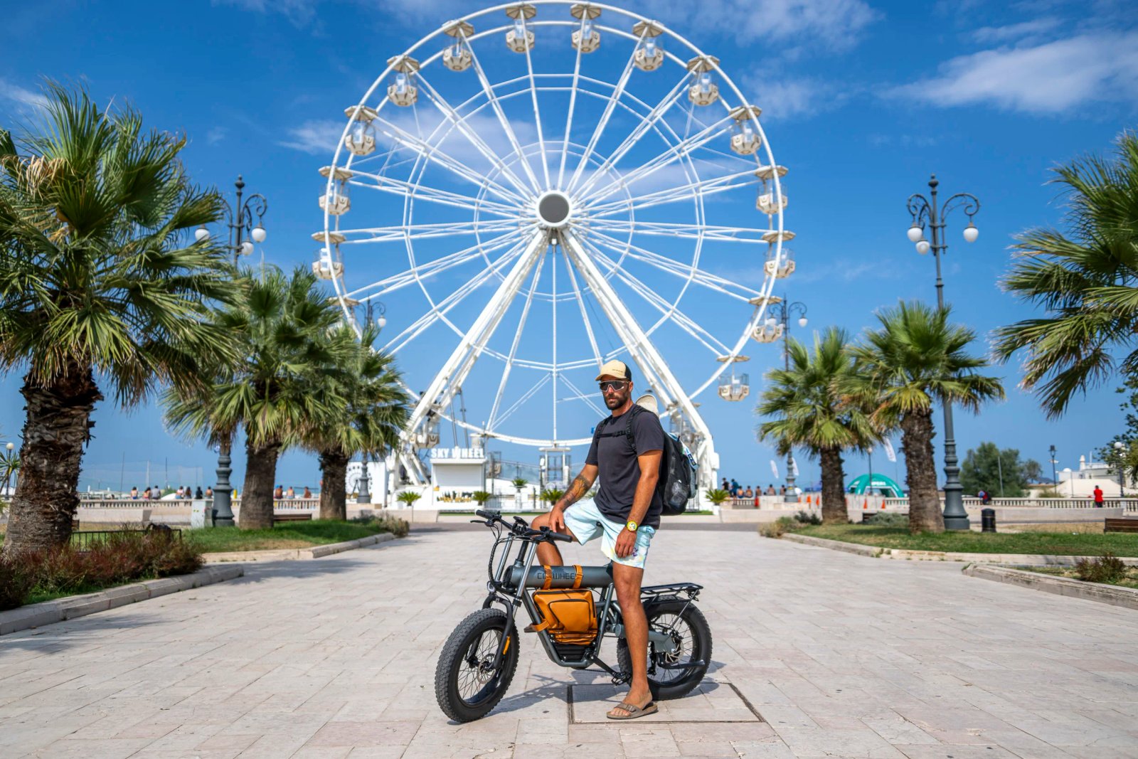 Electric Bike 1500W Brushless Motor 48V 20Ah Removable Battery All-Terrain Fat Tire E-Bike with Dual Suspension Hydrau Disc Brak