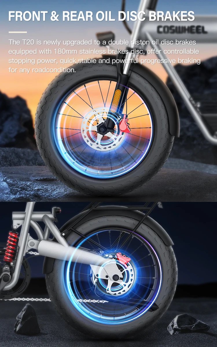 Electric Bike 1500W Brushless Motor 48V 20Ah Removable Battery All-Terrain Fat Tire E-Bike with Dual Suspension Hydrau Disc Brak