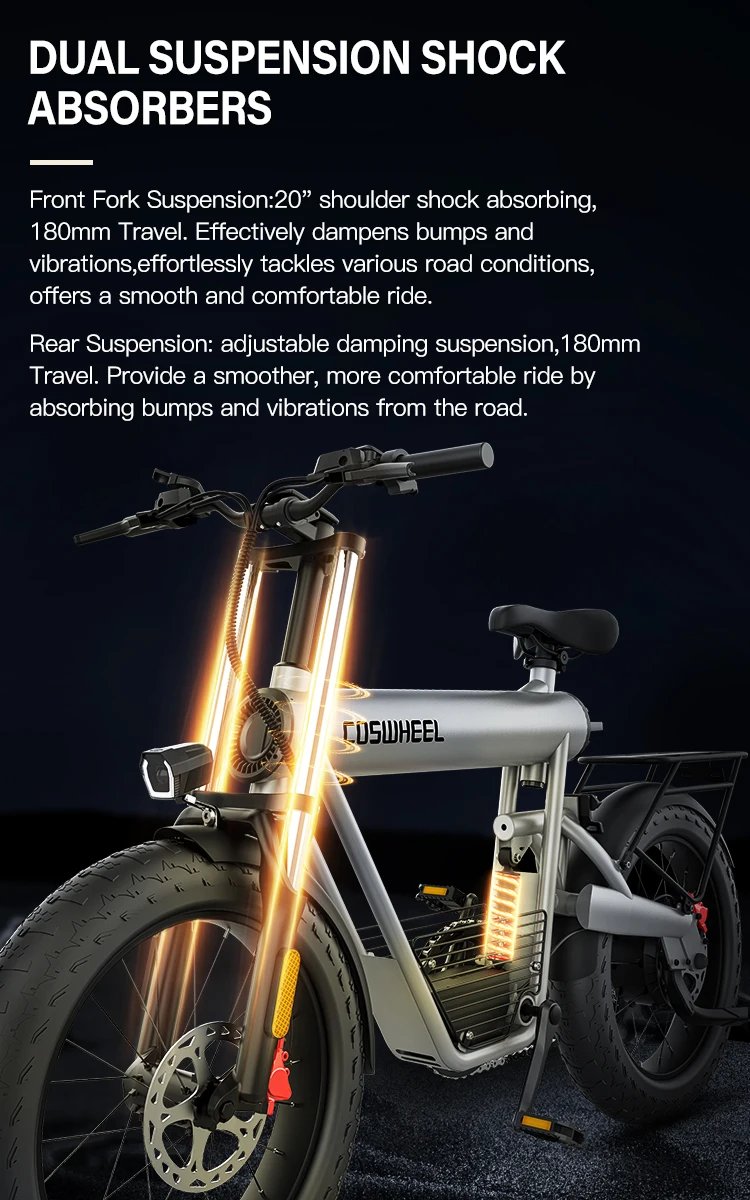 Electric Bike 1500W Brushless Motor 48V 20Ah Removable Battery All-Terrain Fat Tire E-Bike with Dual Suspension Hydrau Disc Brak