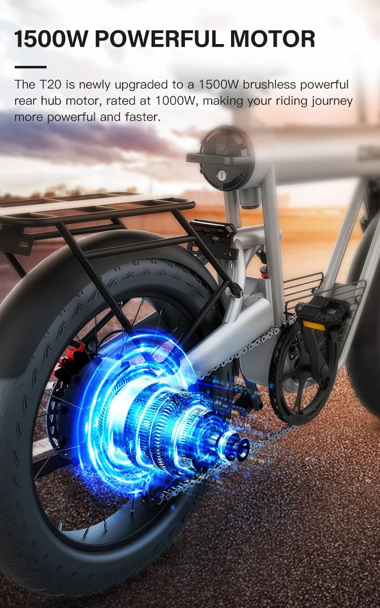 Electric Bike 1500W Brushless Motor 48V 20Ah Removable Battery All-Terrain Fat Tire E-Bike with Dual Suspension Hydrau Disc Brak