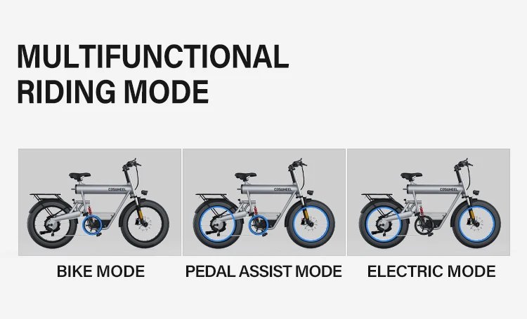Electric Bike 1500W Brushless Motor 48V 20Ah Removable Battery All-Terrain Fat Tire E-Bike with Dual Suspension Hydrau Disc Brak