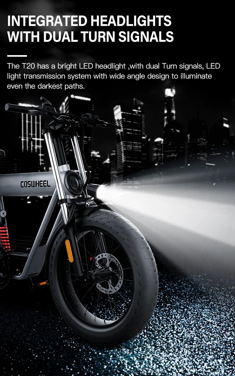Electric Bike 1500W Brushless Motor 48V 20Ah Removable Battery All-Terrain Fat Tire E-Bike with Dual Suspension Hydrau Disc Brak