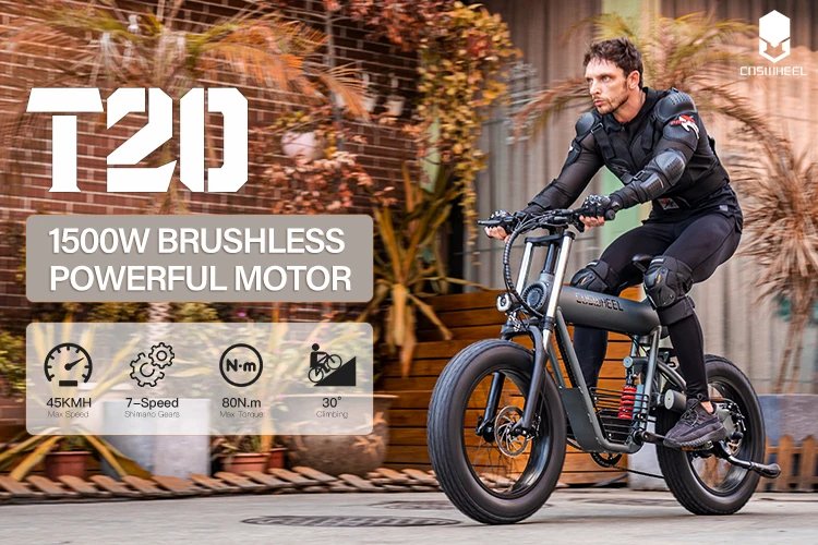Electric Bike 1500W Brushless Motor 48V 20Ah Removable Battery All-Terrain Fat Tire E-Bike with Dual Suspension Hydrau Disc Brak
