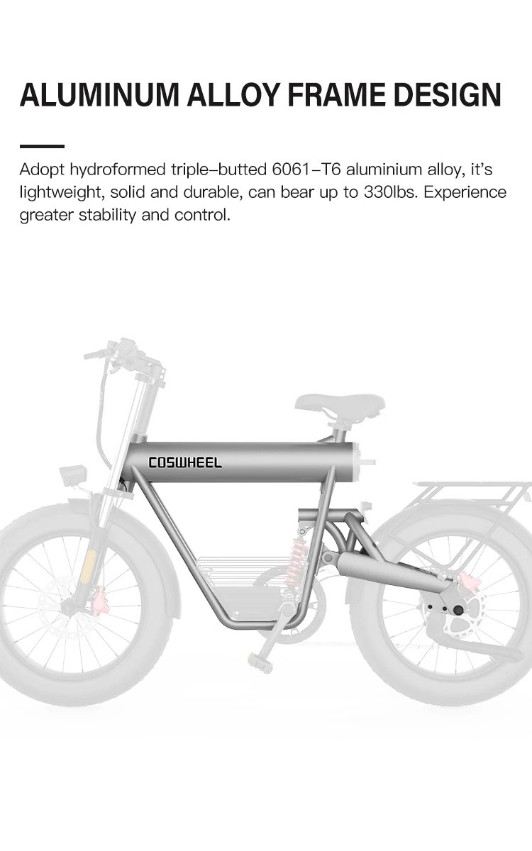 Electric Bike 1500W Brushless Motor 48V 20Ah Removable Battery All-Terrain Fat Tire E-Bike with Dual Suspension Hydrau Disc Brak
