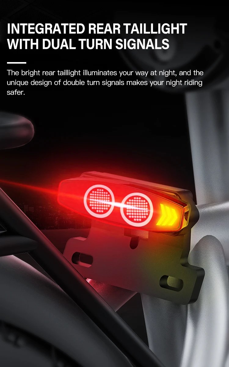 Electric Bike 1500W Brushless Motor 48V 20Ah Removable Battery All-Terrain Fat Tire E-Bike with Dual Suspension Hydrau Disc Brak