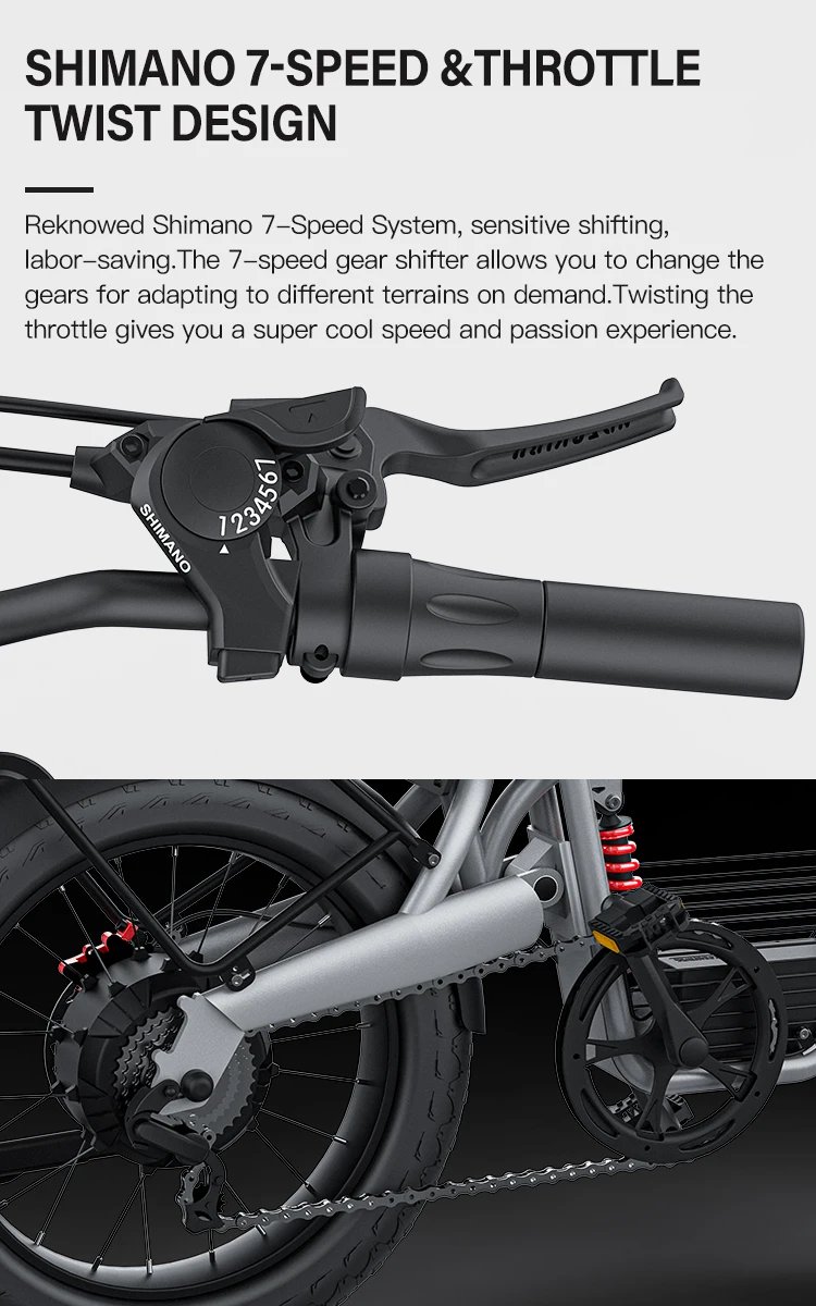 Electric Bike 1500W Brushless Motor 48V 20Ah Removable Battery All-Terrain Fat Tire E-Bike with Dual Suspension Hydrau Disc Brak