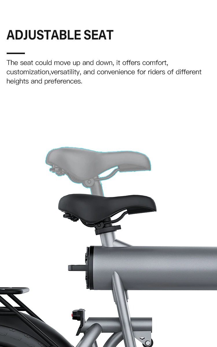 Electric Bike 1500W Brushless Motor 48V 20Ah Removable Battery All-Terrain Fat Tire E-Bike with Dual Suspension Hydrau Disc Brak