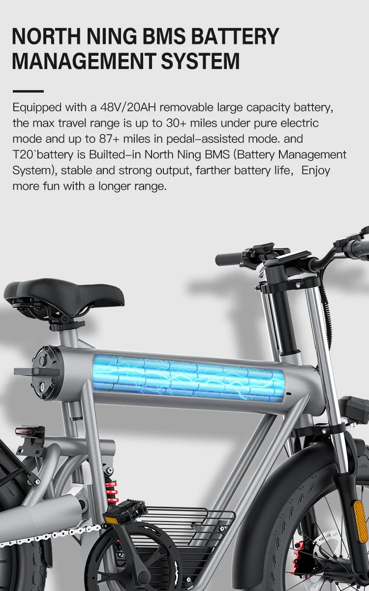 Electric Bike 1500W Brushless Motor 48V 20Ah Removable Battery All-Terrain Fat Tire E-Bike with Dual Suspension Hydrau Disc Brak