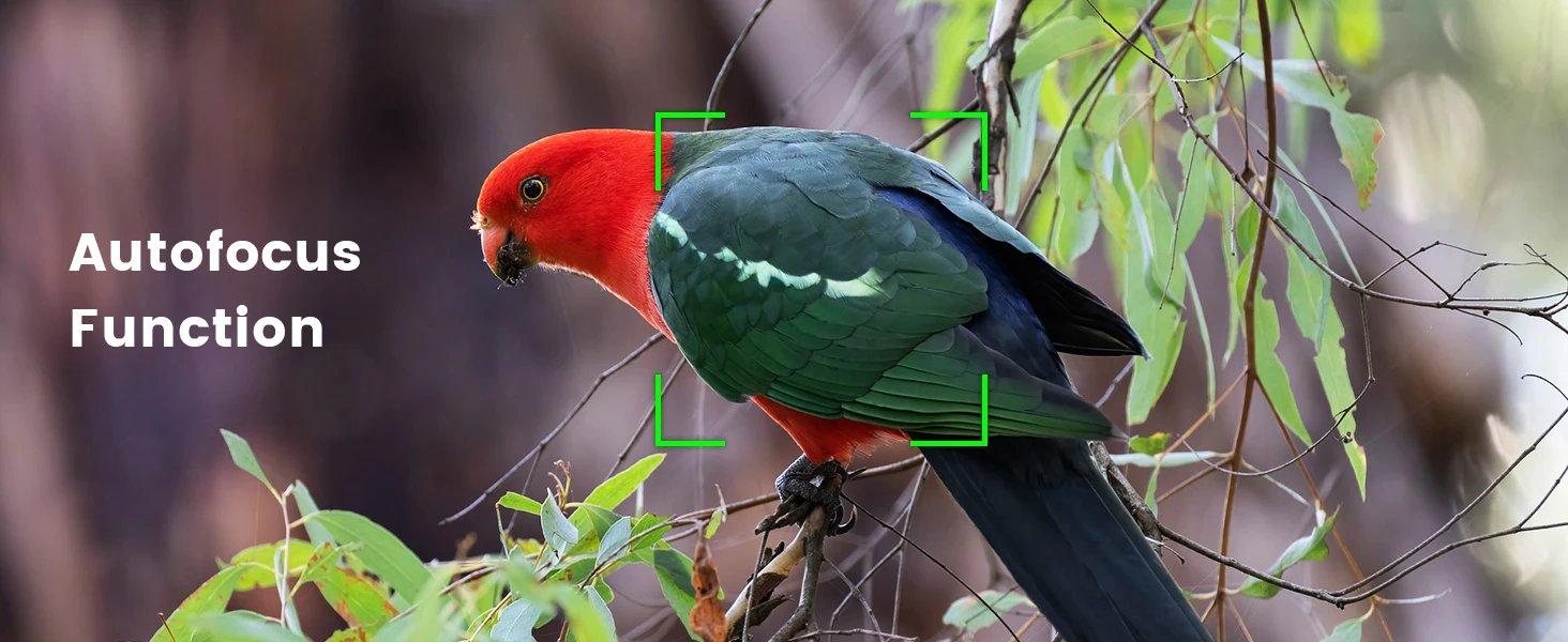 Compact Digital Photography Camera 4K WIFI Webcam Retro Vlog Recorder YouTube 64MP Camcorder 3 Inch Flip Screen Wide Angle Lens Compact Digital Photography Camera 4K WIFI Webcam Retro Vlog Recorder YouTube 64MP Camcorder 3 Inch Flip Screen Wide Angle Lens