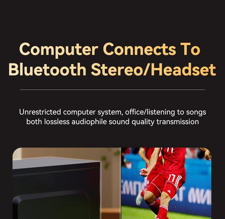 Multi-function Bluetooth 5.3 Audio Adapter RGB Wireless Transmitter Receiver DAC IR Control 6.5MM Mic Concert Level For Karaoke