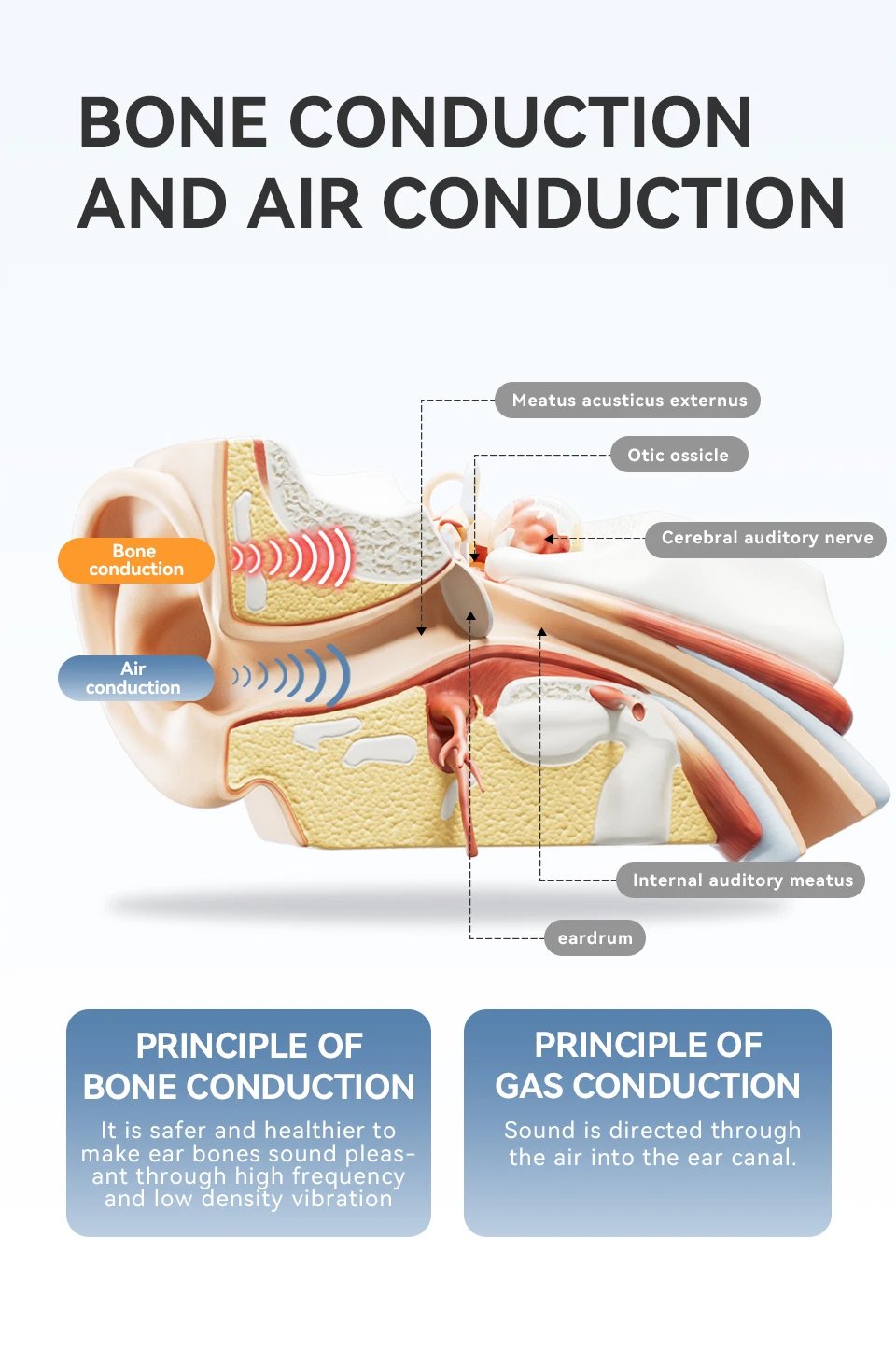 Sanag B21S True Bone Conduction Audífonos Bluetooth Earphone Flash-sale HiFi Sound Headphones Choice Earbuds Wireless Headset Sanag B21S True Bone Conduction Audífonos Bluetooth Earphone Flash-sale HiFi Sound Headphones Choice Earbuds Wireless Headset