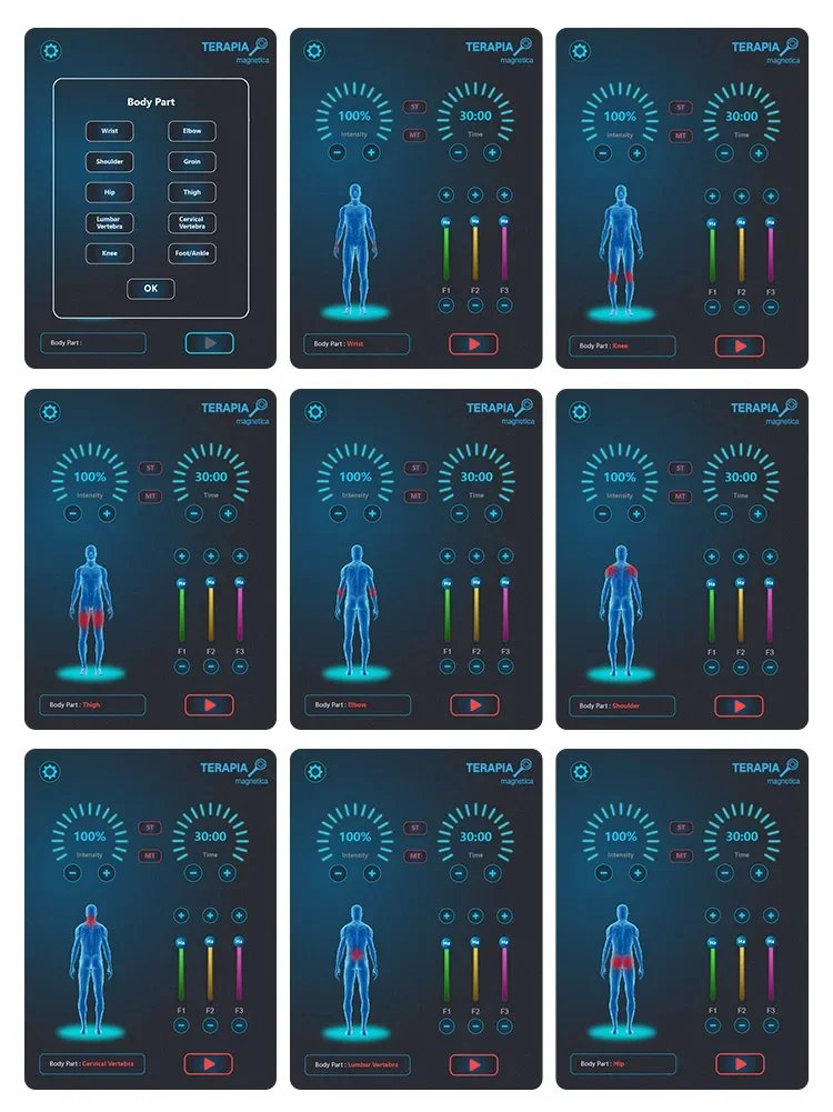A Professional Non-Invasive Beauty Device For Relieving Body Pain And Muscle Relaxation Through Magnetic Therapy And Massage