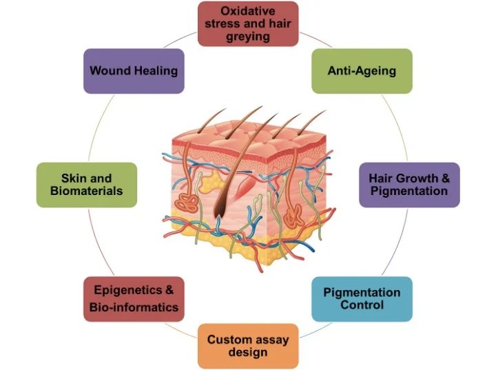 Amethyst Mattress 7 Crystal Stones Bio Photon Infrared Naturopathy PEMF Thermal Therapy Massage for Relaxation And Healing