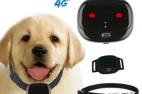 Mini 4G Pet GPS Tracker Waterproof Dog GPS Collar With Dazzle Lights Animal Locator Support Geo-Fence Low Battery Alarm WIFI