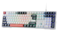 Redragon K668 RGB Gaming Keyboard, 108 Keys Wired Mechanical Keyboard w/Extra 4 Hotkeys Upgraded Hot-swappable Socket，Red Switch
