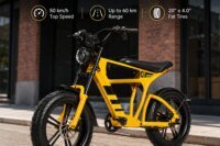 Mangosteen FT-03 Electric Bike for Adults, 1000W Rear Brushless Motor, 48V 20Ah Removable Lithium Battery, Up to 31 MPH, 20 X 4.0 Fat Tires, Hydraulic Brakes, Full Suspension, LCD Display, Moped-Style Commuter E-Bike